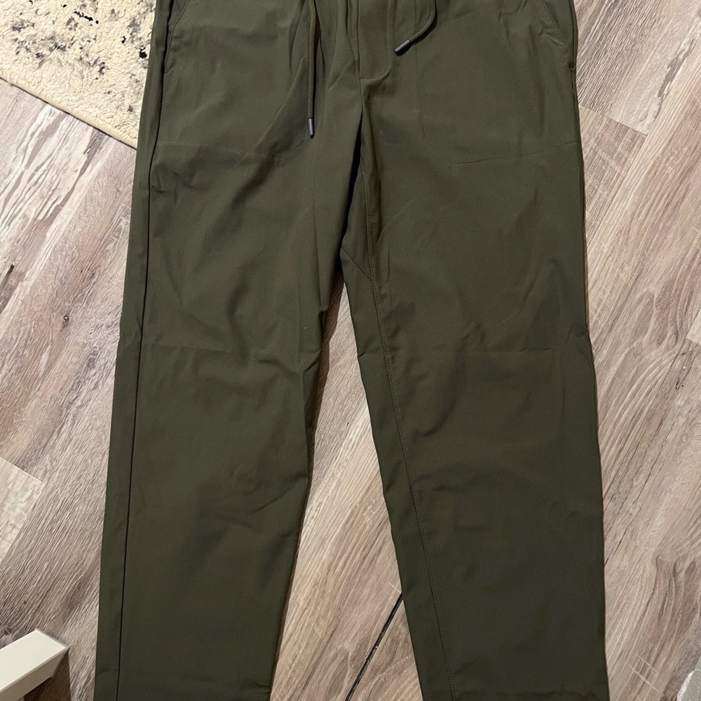 Men’s Lands End Polyester Pants Size L NWOT